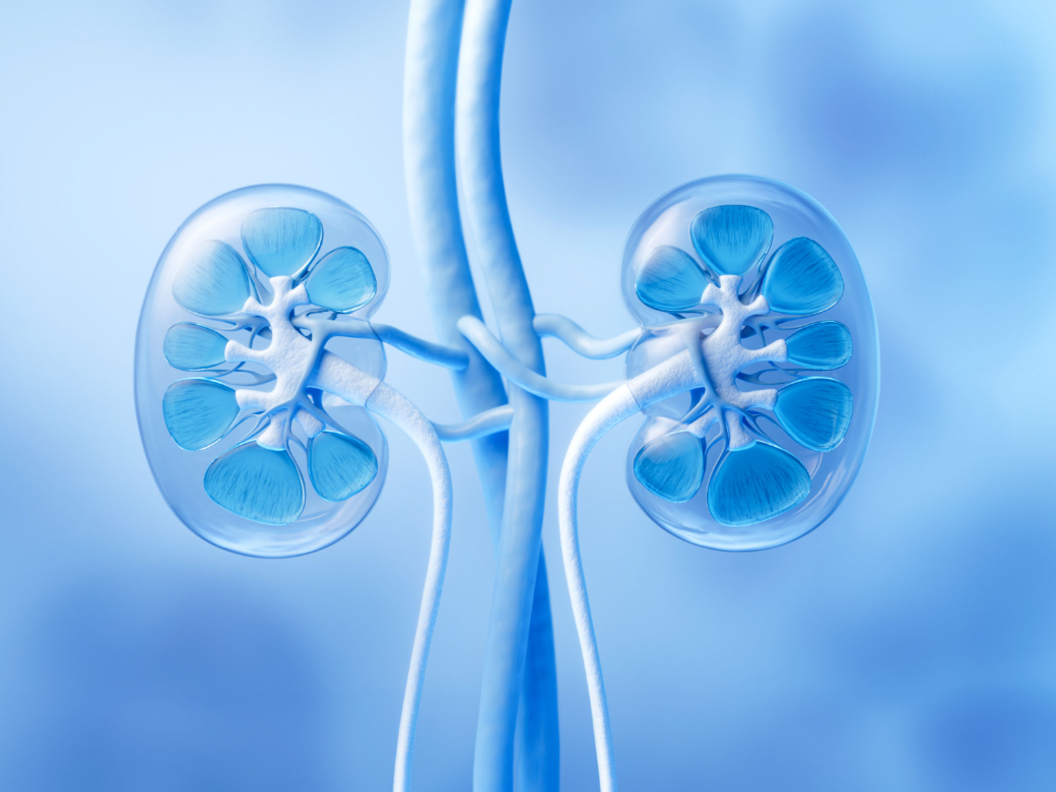 요로결석 클리닉