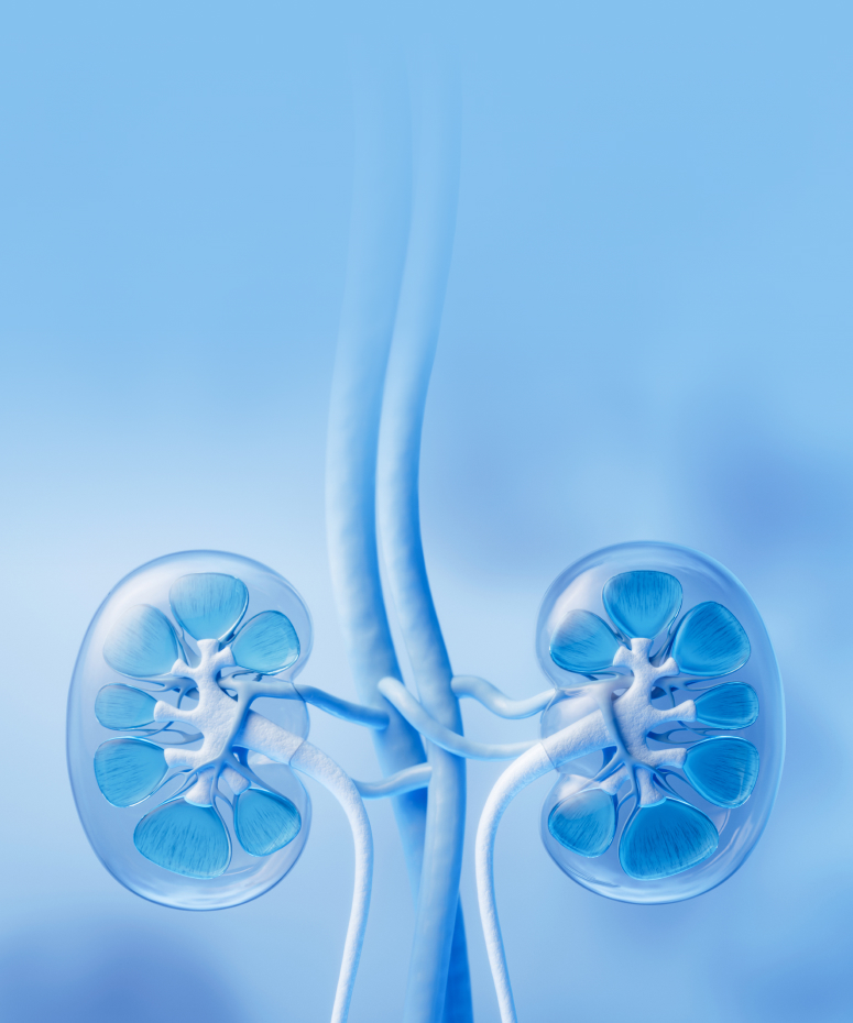 요로결석 클리닉