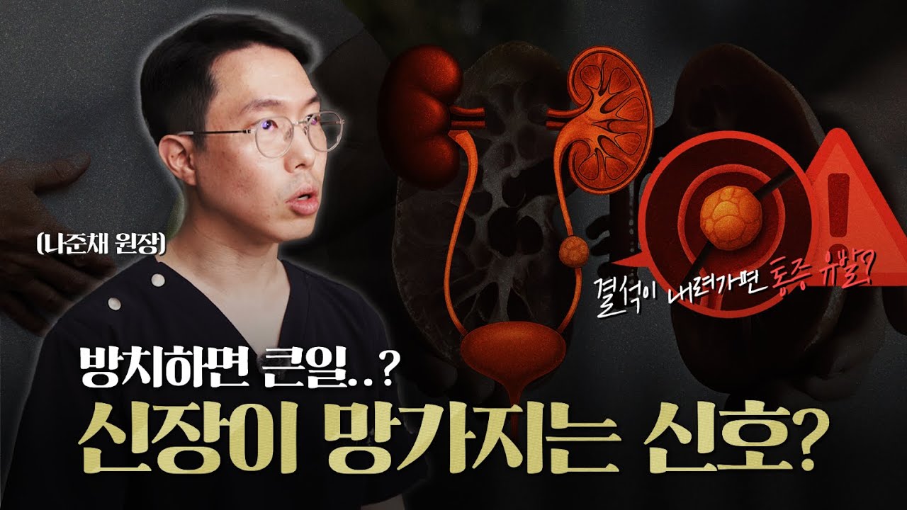 신장결석 치료 안해도 된다? 방치하면 큰일 난다? 요로결석과 신장결석, 어떤 경우 비뇨의학과를 찾아야하는 지 알려드립니다_이미지