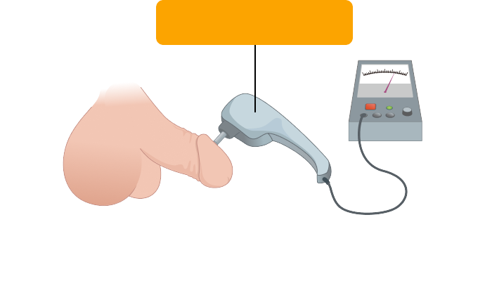 Penile vibratory sensation testing device