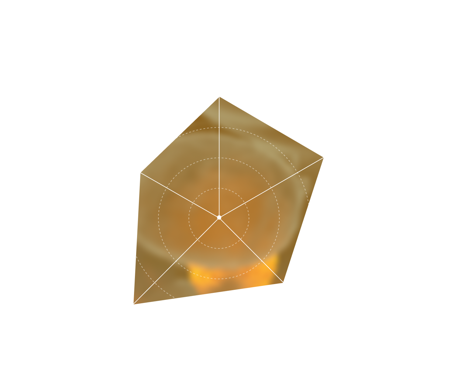 FIVE RADAR customized diagnosis chart