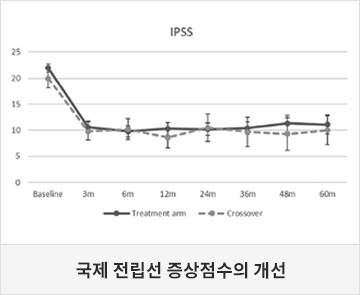 국제 전립선 증상점수의 개선