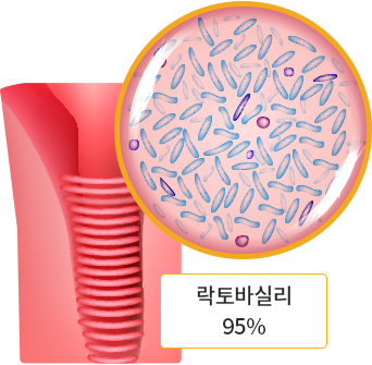 락토바실리