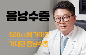 500cc에 가까운 거대 음낭수종