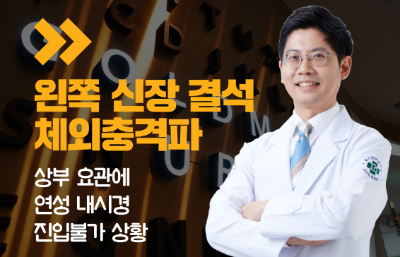 왼쪽 신장 결석, 체외충격파 시도. 상부 요관 연성 내시경 진입 불가.